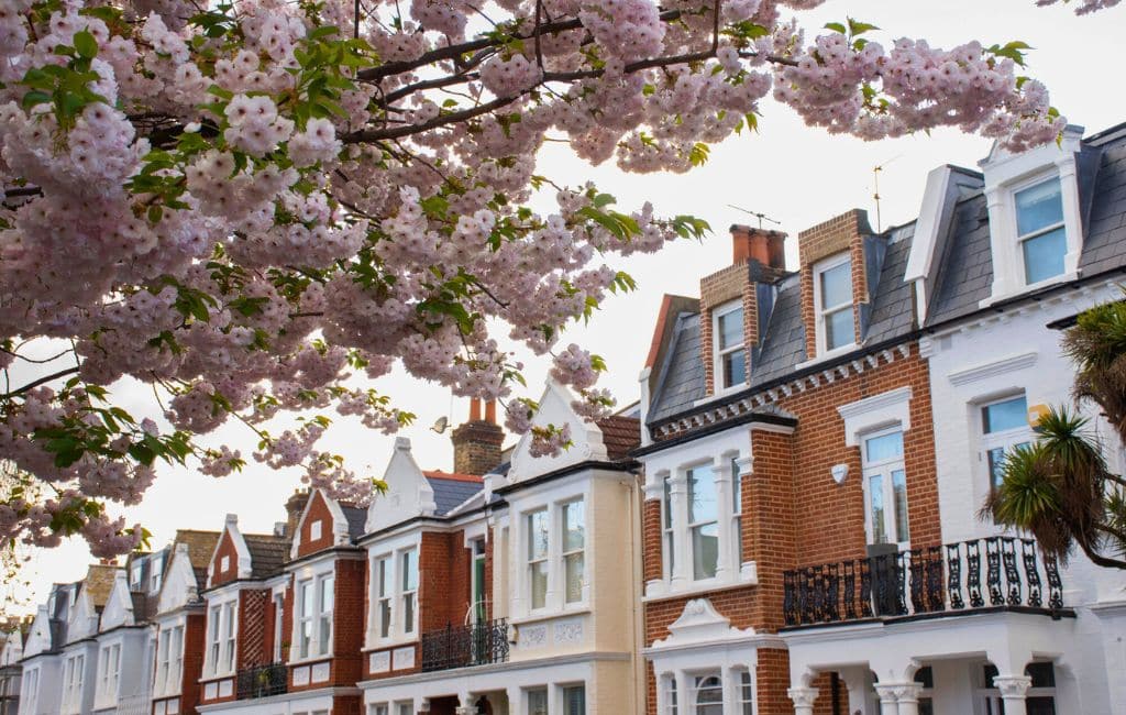 London Cherry Blossom Deposit photos 