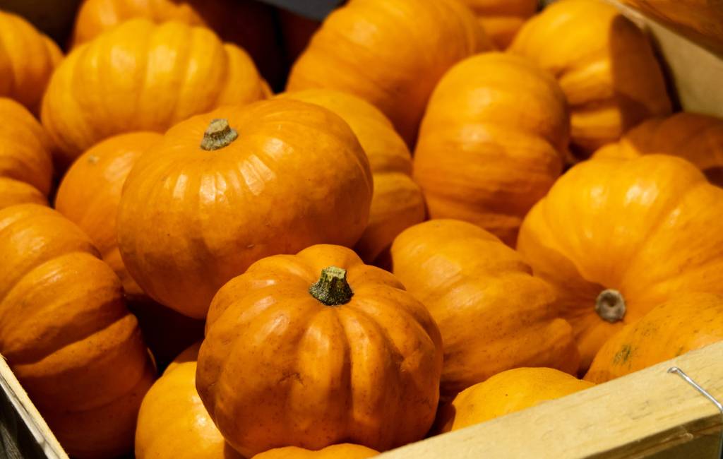 October half term in London