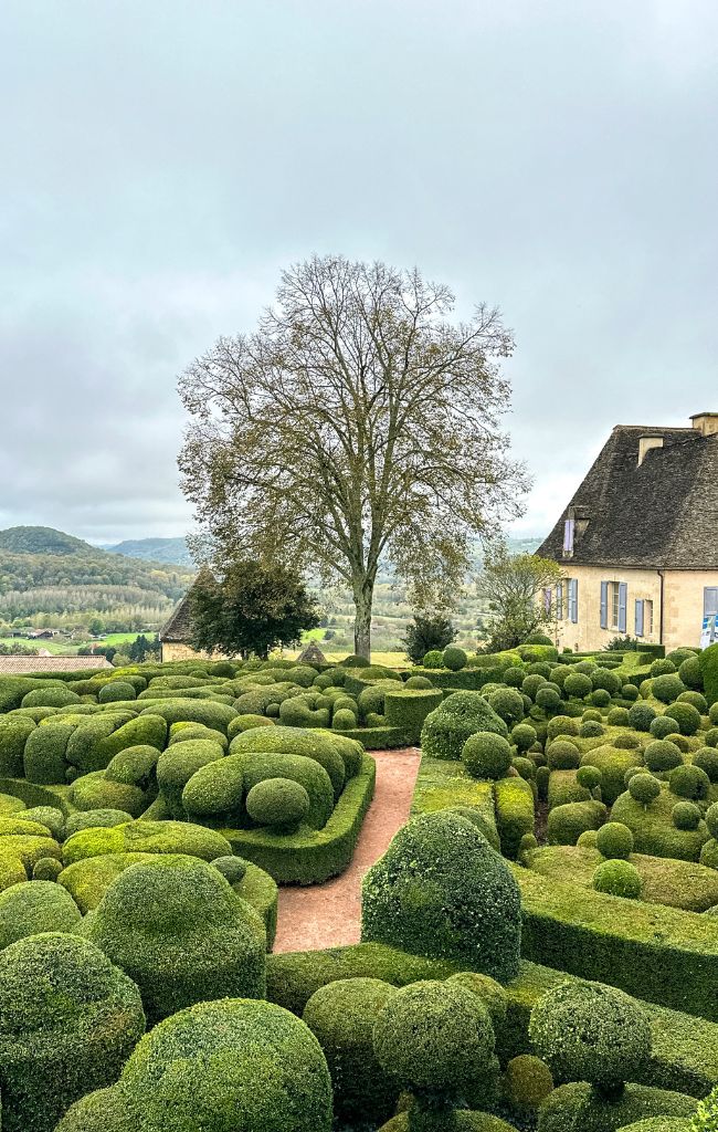 Châteaux Dans Les Arbres