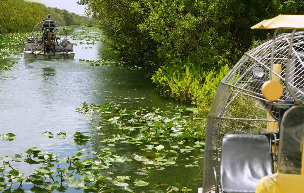 best things to do in Miami with kids