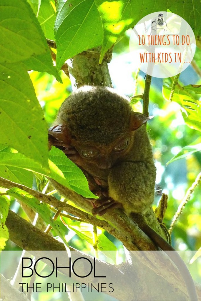 10 Things to do with Kids in Bohol, The Philippines