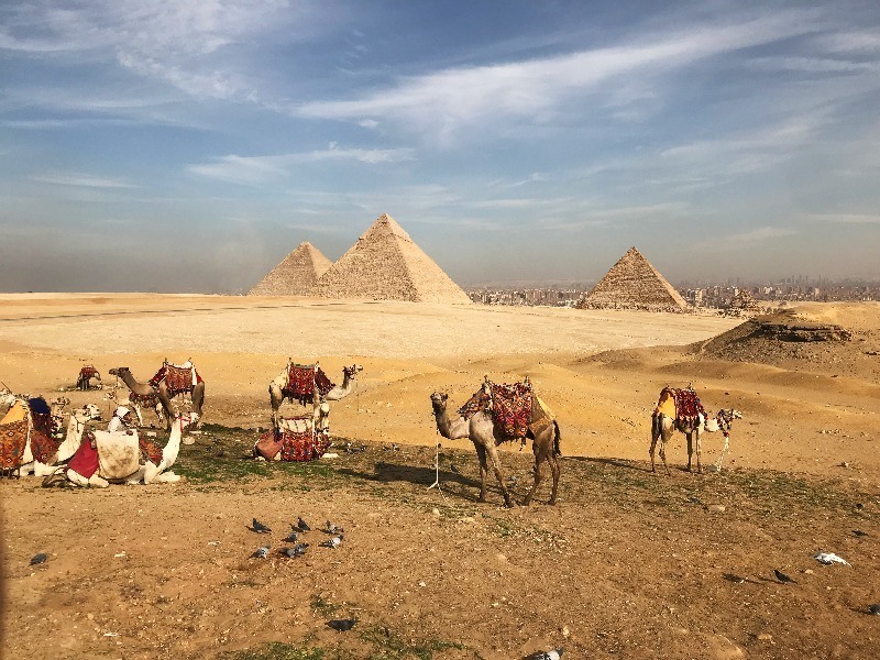 Cairo with kids