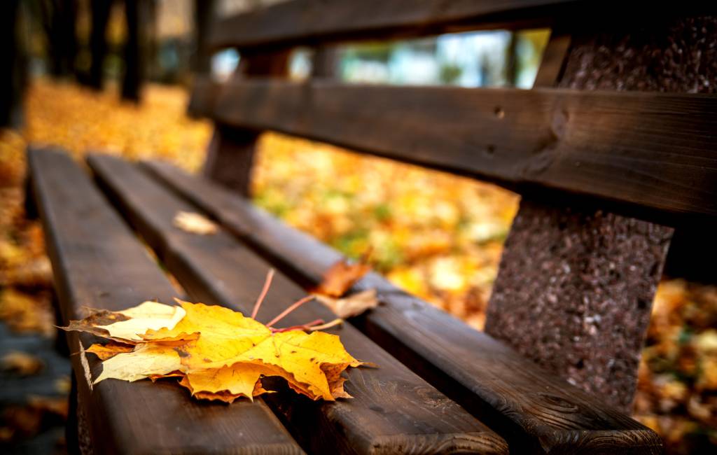 October half term in London