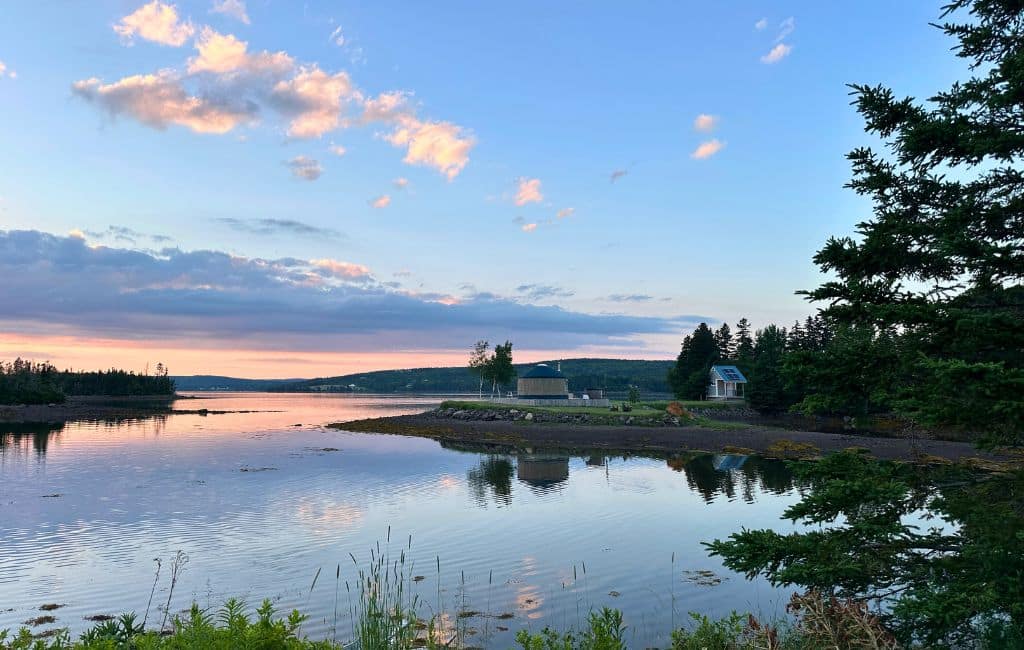 Yurts in the vineyard