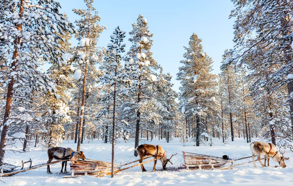 Luxury family holidays