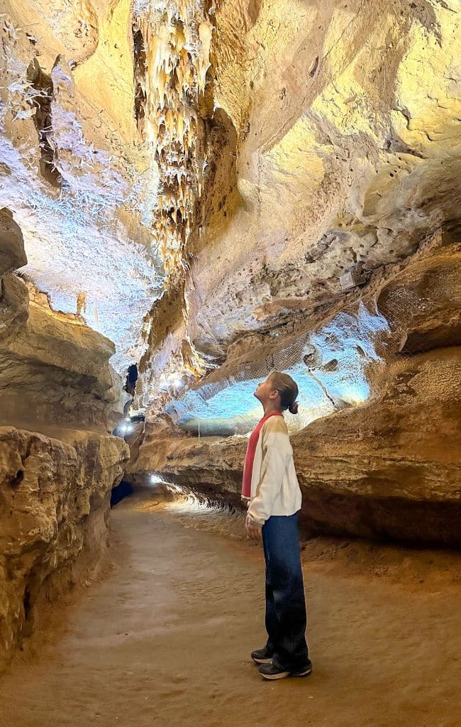 Châteaux Dans Les Arbres