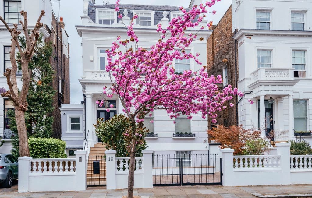 London cherry Blossoms: Depositphotos