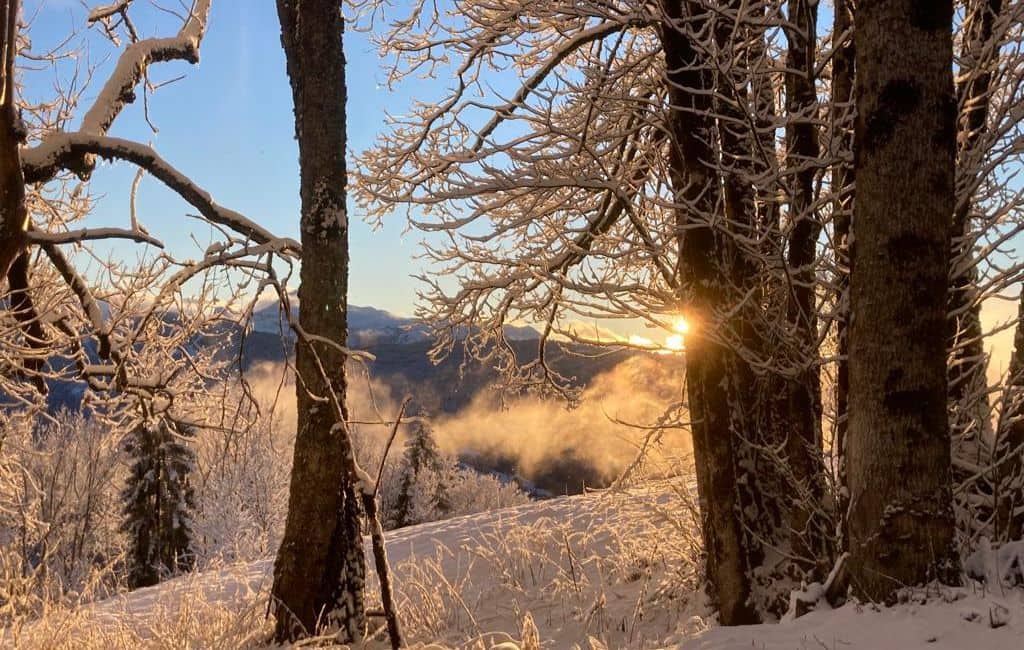 best ski resorts in France for families