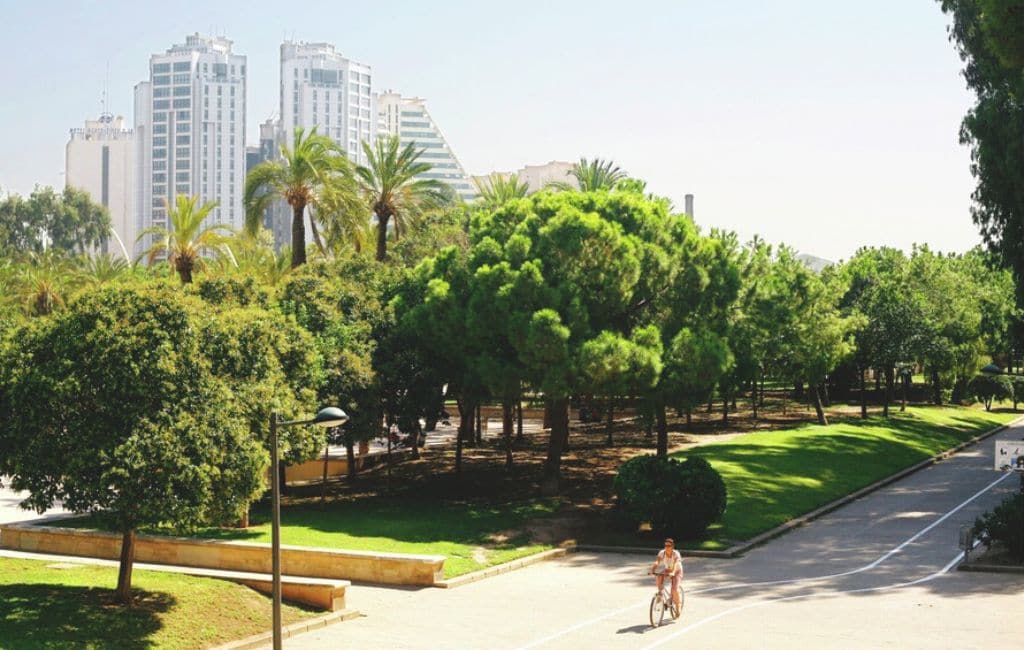 Learn Spanish in valencia