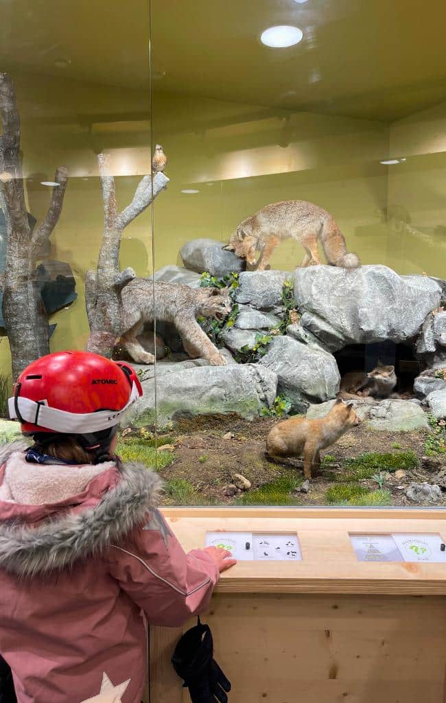 family ski holiday to les arcs