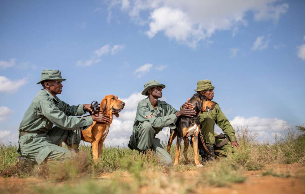 Luxury family holidays