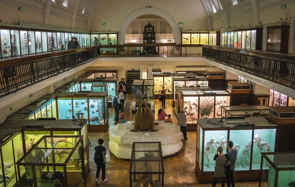 Weird Museums in London