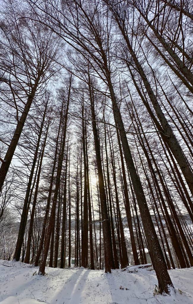 Hokkaido winter itinerary