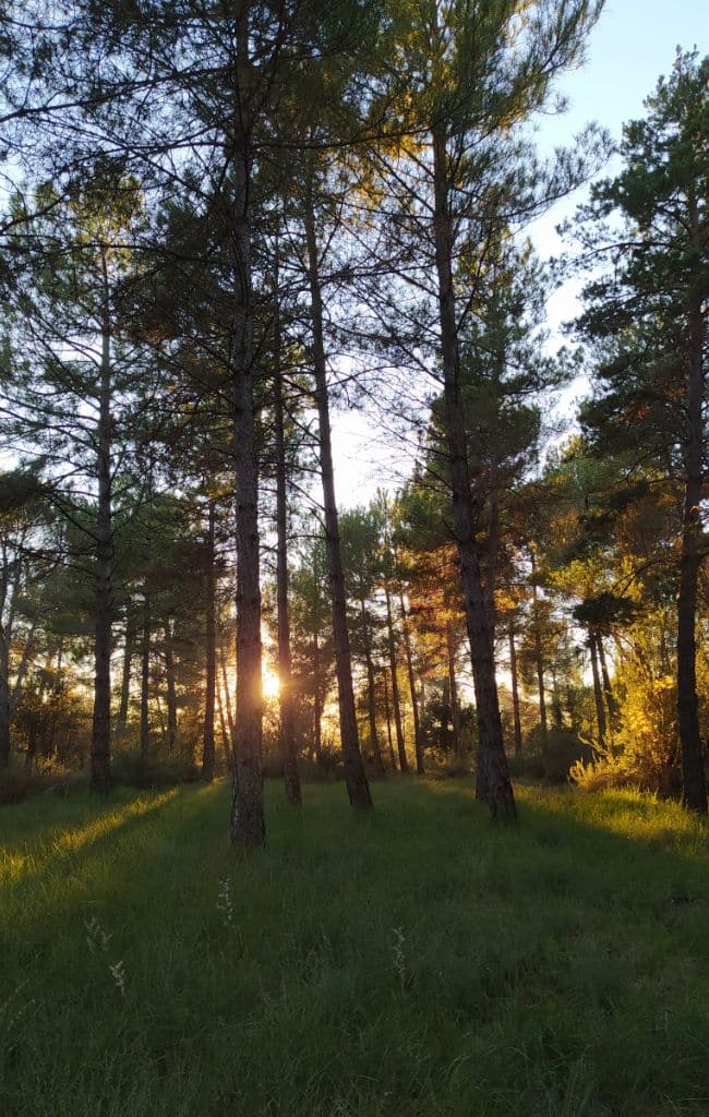 forest Days glamping Catalonia Spain