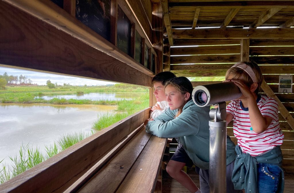 Day trips from Bordeaux