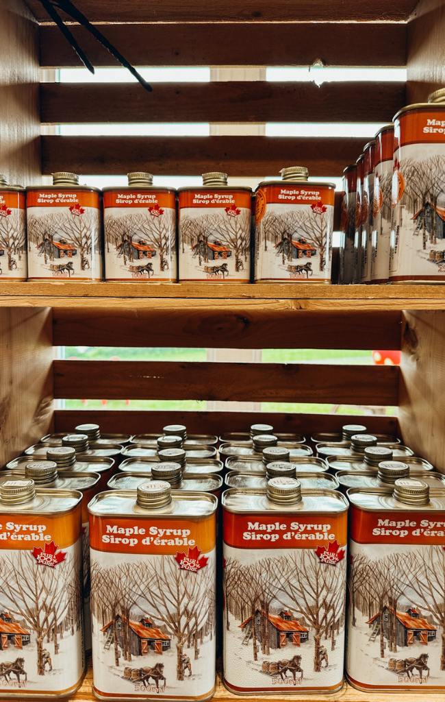 3 days in Quebec City