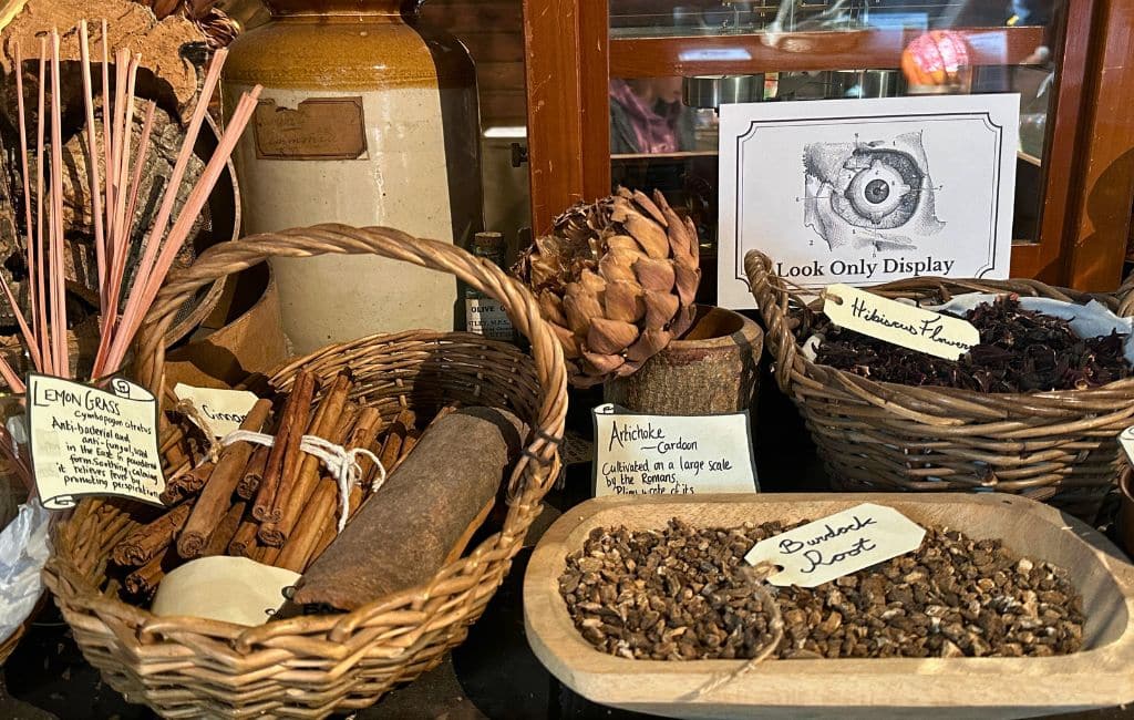 London's Old Operating Theatre