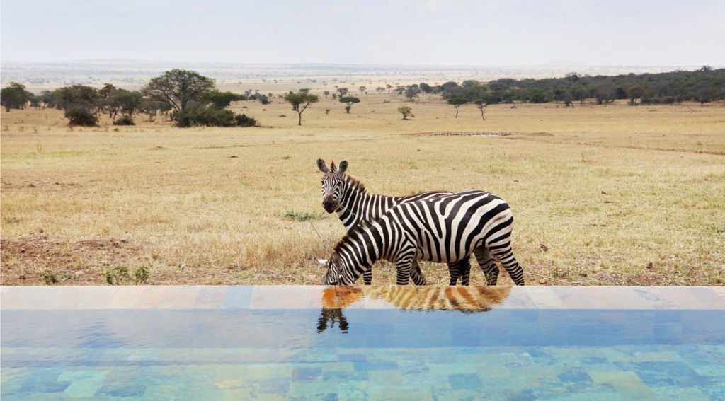 Africa safari with kids