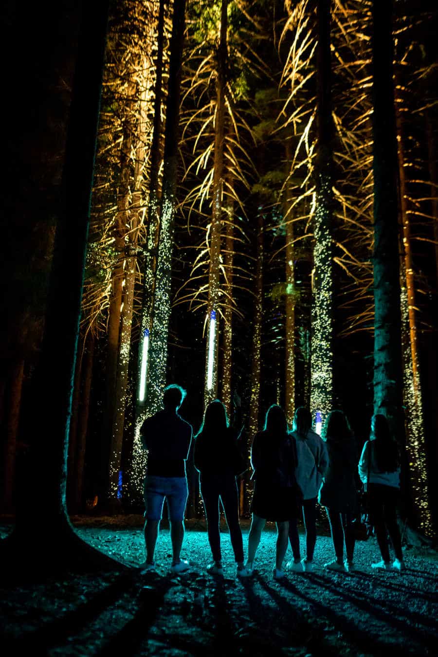 Alta Lumina Les Gets