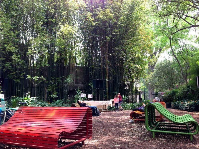 Mexico City with kids