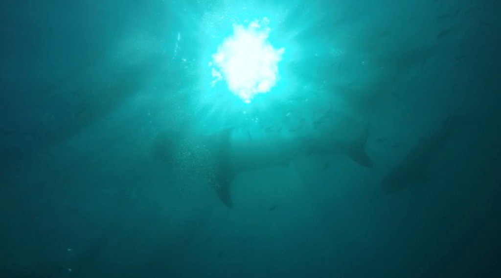 Things to do with Kids on Bohol, The Philippines