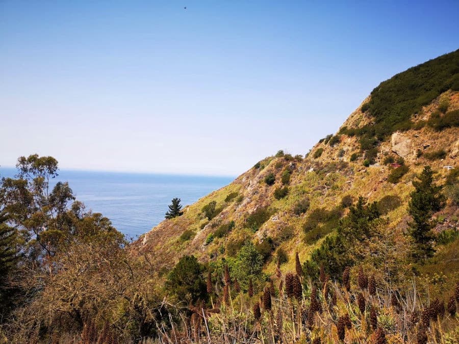 best places to stop on the Pacific coast highway