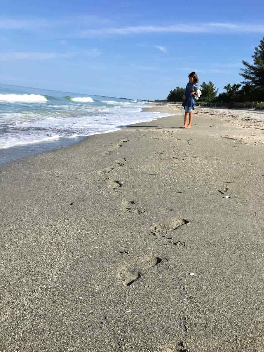 Things to do on Captiva Island