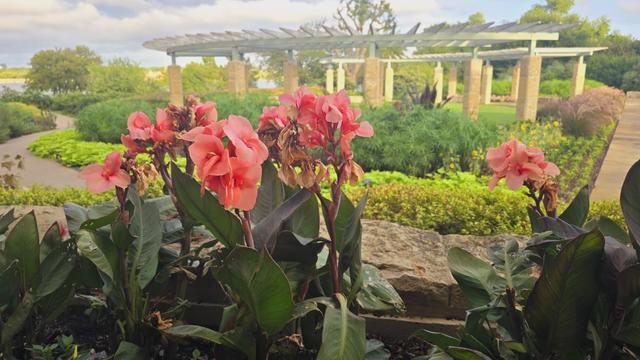 dallas-arboretum.jpg 