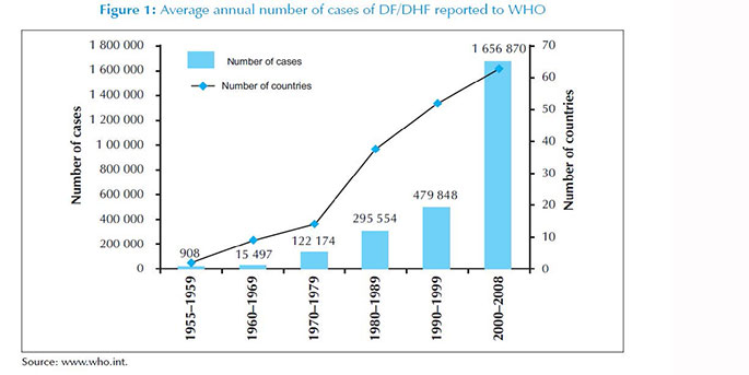 How to prevent Dengue
