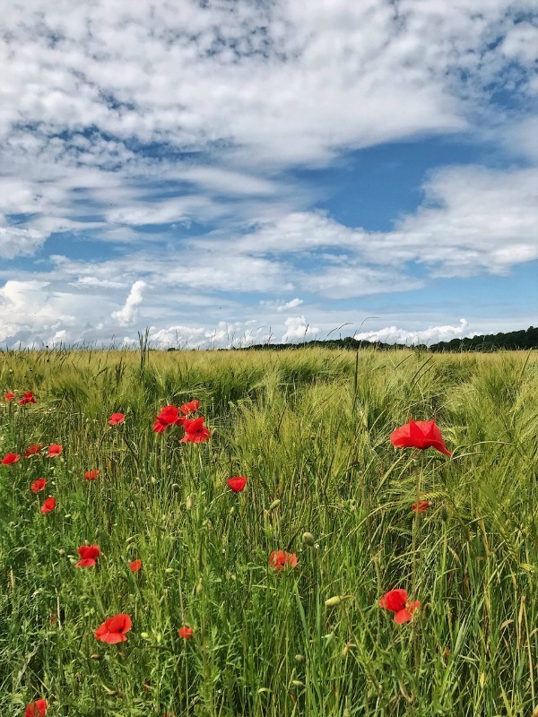 Durbuy, the smallest city in the world. Belgium