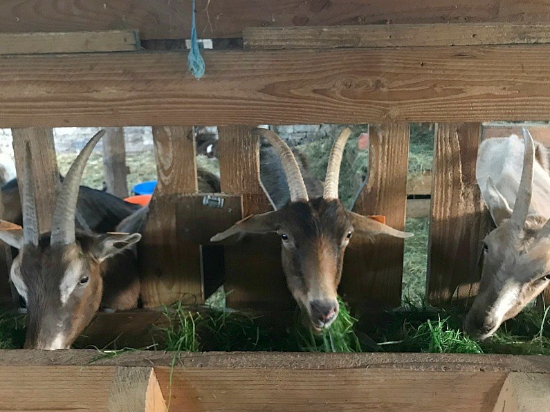 Durbuy, the smallest city in the world. Belgium