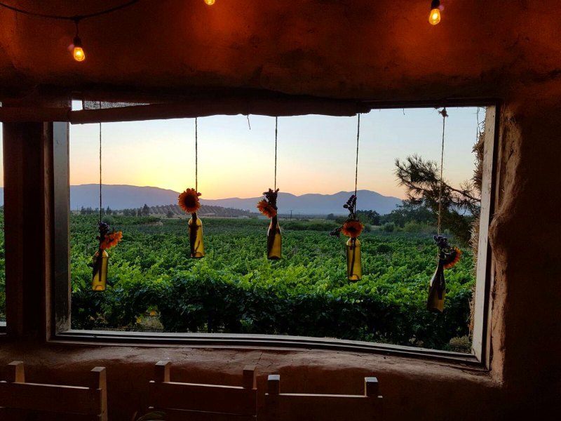 Best wineries in Valle de Guadalupe