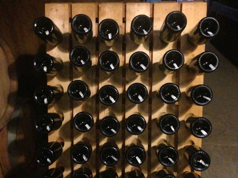 Best wineries in Valle de Guadalupe