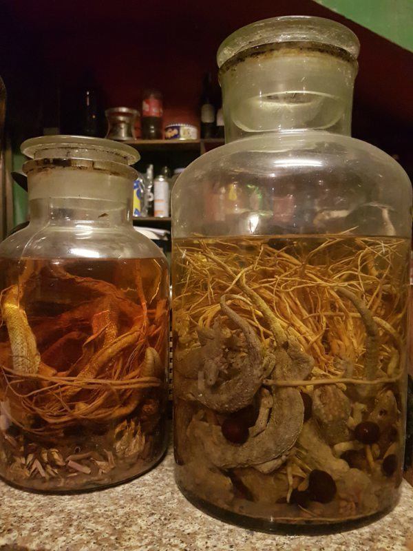 Travelling to Vietnam with Kids