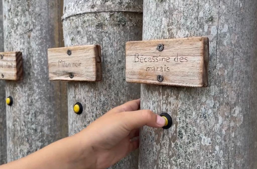 Day trips from Bordeaux 