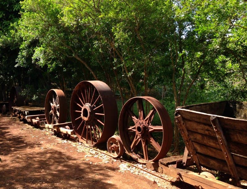 Things to do in the Yucatan