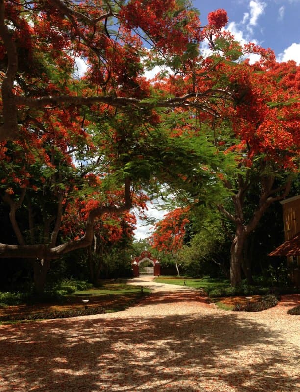 Hacienda Petac Mexico