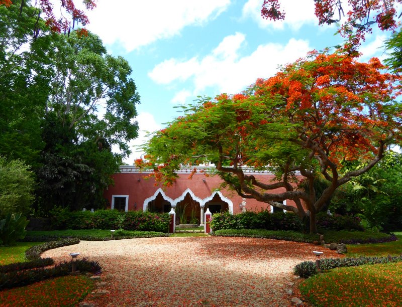 Things to do in the Yucatan