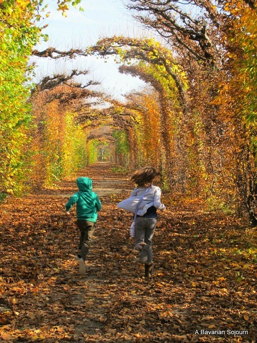 The best places to go for October half-term