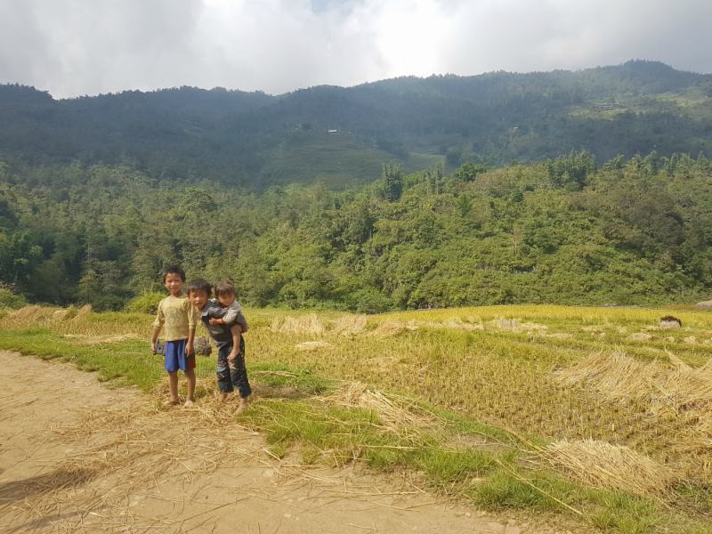 Travelling to Vietnam with Kids