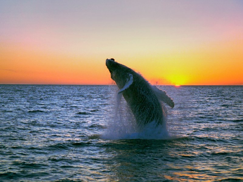 Things to do in Iceland