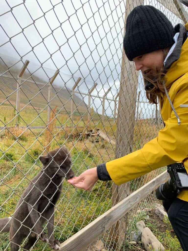 Westfjords Iceland Itinerary