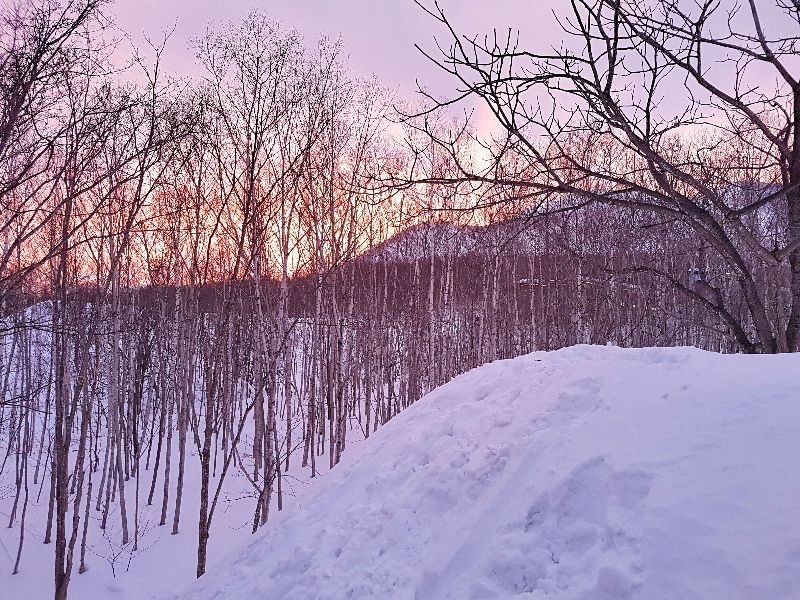 Skiing in Japan with kids