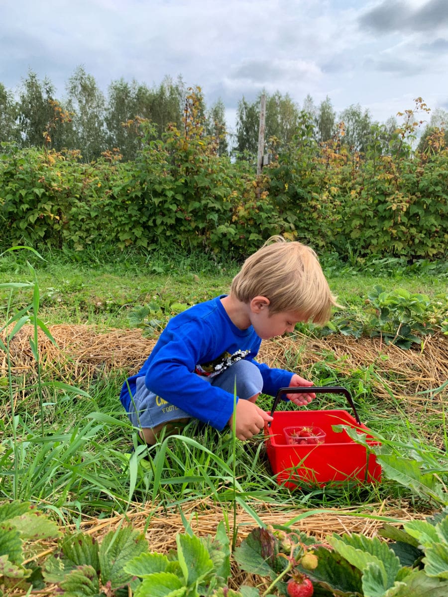 Finnish Lakeland and Lake Saimaa