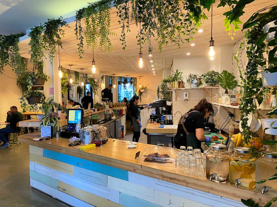 Where to eat in Lisbon