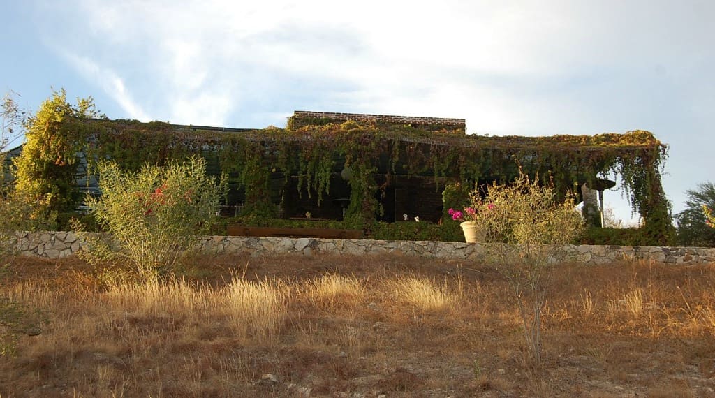 things to do in Cabo with kids