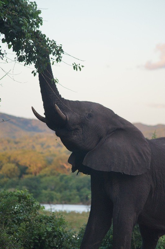 Visiting Malawi with kids