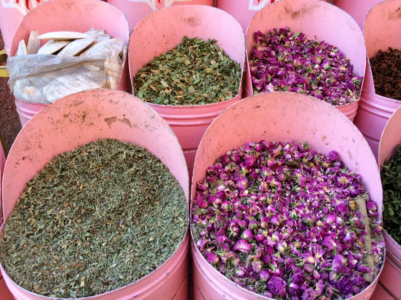 Marrakesh with kids: A family guide