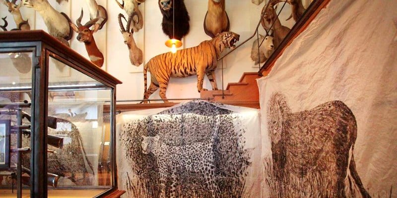 things to do in Paris with kids