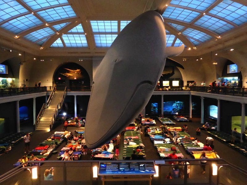 A Night at the Museum: Museum Sleepovers around the world for kids